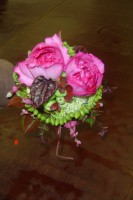 /album/galerie-photos/pratique-juin-09-002-jpg1/